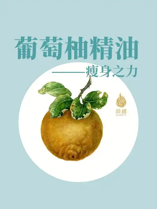 葡萄柚精油瘦身减脂的必选精油