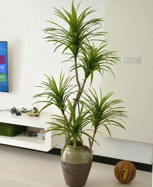 仿真龙血铁植物树大型落地盆栽景样板间装饰假花仿真客厅室内