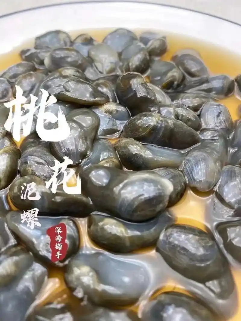 "爽滑适口,鲜香醉人—黄泥螺" 好吃到停不下来的开胃黄泥螺17 - 抖