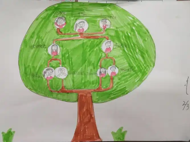 第二小学三年二班family tree特色作业