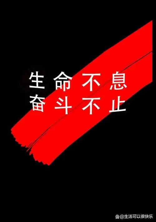 生命不息折腾不止