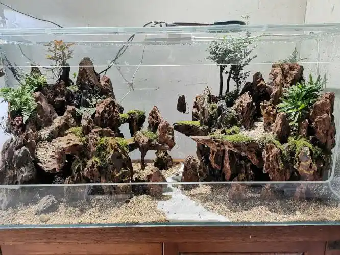 分享一个松皮石造景