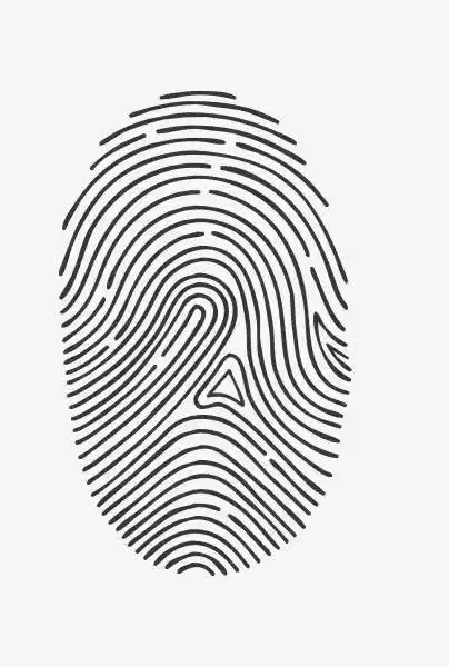 指纹