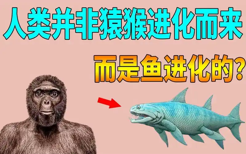 达尔文进化论存在巨大漏洞,人类是由鱼进化而来的,而并非猿猴?