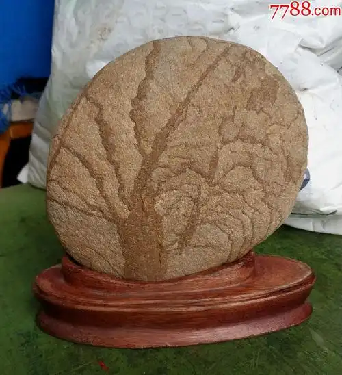 精致纹理奇石图案石水冲石古树图案