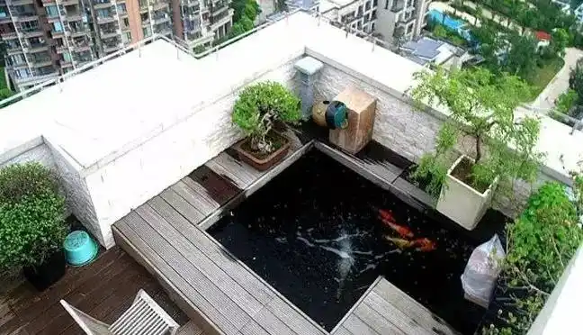 准备在院子里面挖口30050080的鱼池有什么要注意事项