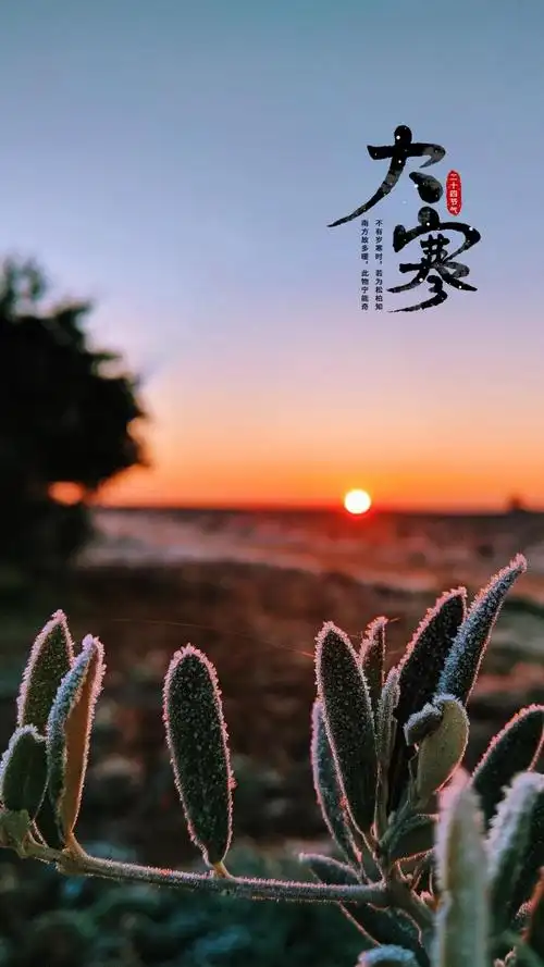 处暑二十四节气简约插画