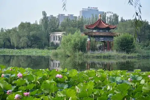 呼和浩特青城公园