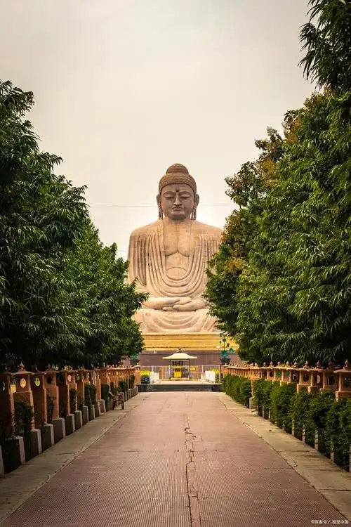 不用花门票的旅游,九江4座有名的寺庙旅游攻略关注