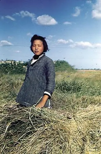 500_760竖版 竖屏