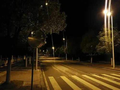 夜晚,显得格外安静,校园路灯的灯光照在路面上,让我们在黑暗中无处