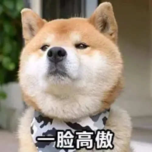 只不过这组狗狗表情包特别的逗比和搞笑