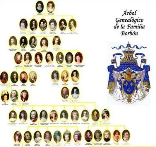 王朝之后,法国历史经历了卡佩王朝,瓦卢瓦王朝,波旁王朝,奥尔良王朝