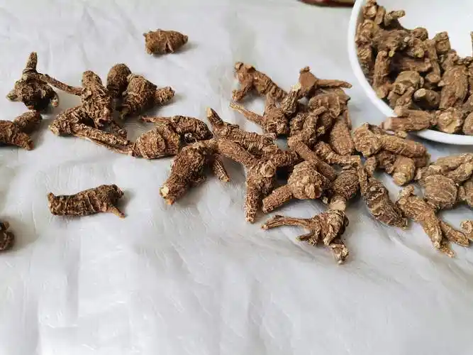 10年花旗参野生老原尾泡参西洋参整枝50克送3g粉 黑色小粒野生花旗参2