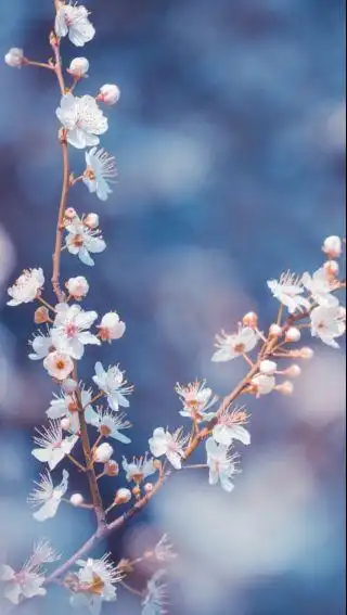 求好看的7p锁屏壁纸