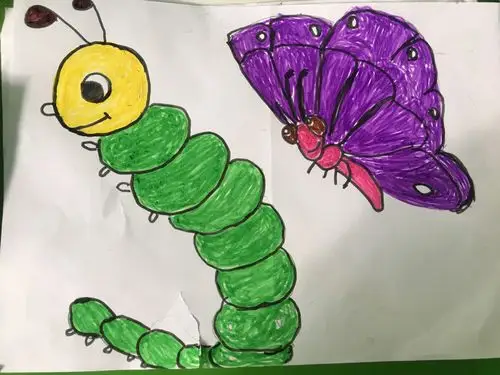 中班科学——毛毛虫变蝴蝶