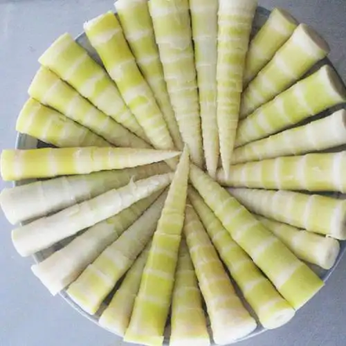 江西新鲜野生小竹笋1000克净重50%厂家批发微商代理 春笋尖鲜冬笋