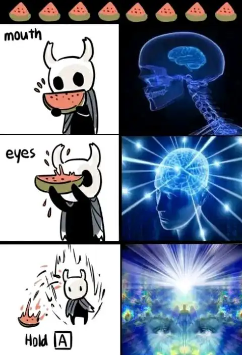 空洞骑士表情包6