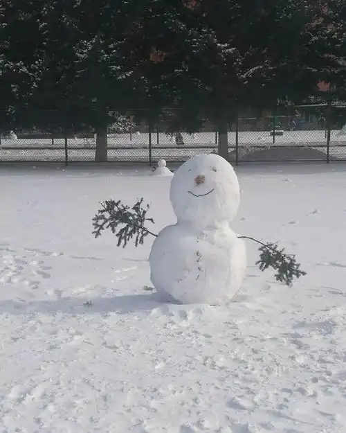 2019第一届堆雪人大赛开始南方人骂骂咧咧退出群聊