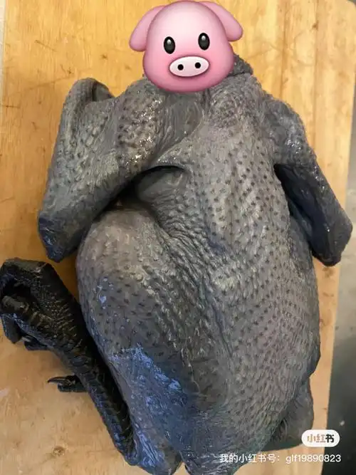 日本产新鲜乌鸡