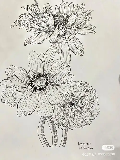 线条画 #黑白线描  #乱涂乱画系列