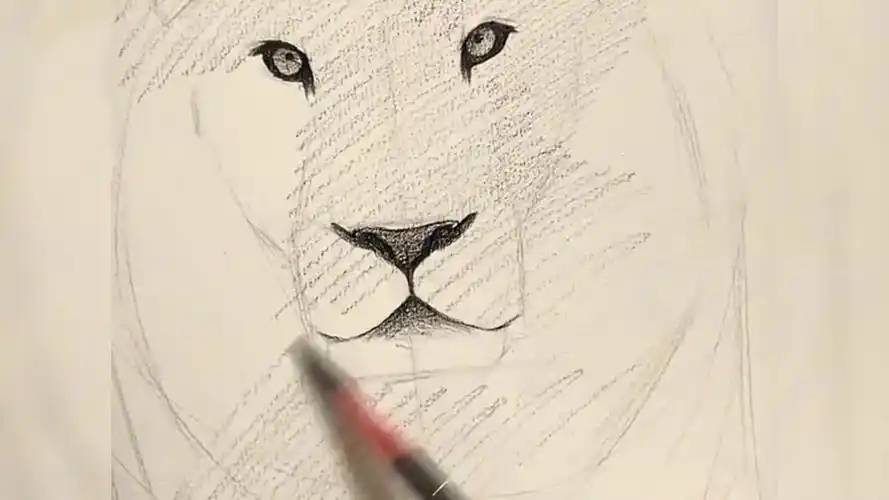 如何画狮子绘图v