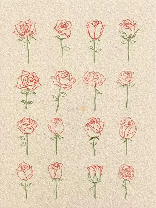 手绘玫瑰花过程