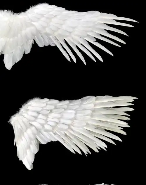 天使翅膀白色羽毛飞燕型翅膀成人儿童表演万圣节道具新娘花童装扮