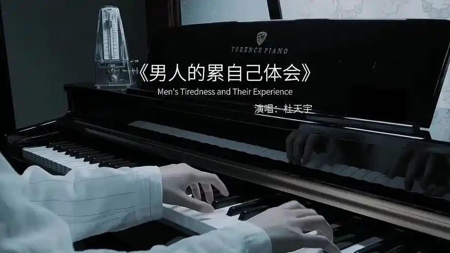 男人苦,男人累,男人赚钱养家累;勤工作,忙奋斗,努力奔波为生活 音乐