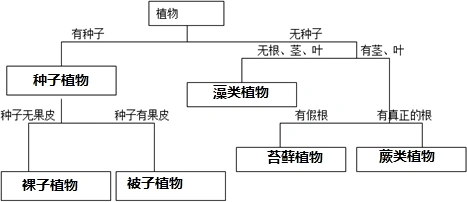 15.完成植物分类概念图.