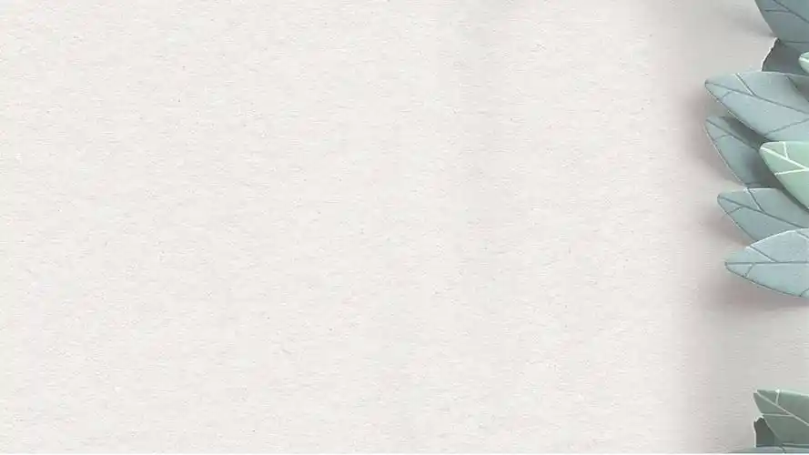 白色墙纸ppt背景图