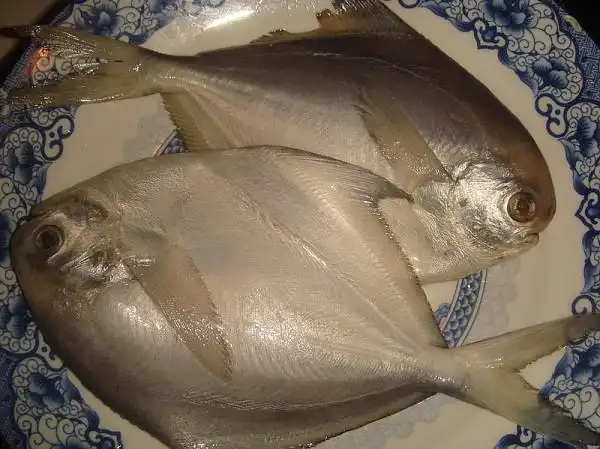 0菜谱 0粉丝 清蒸昌扁鱼的做法 步骤 step 1 步骤