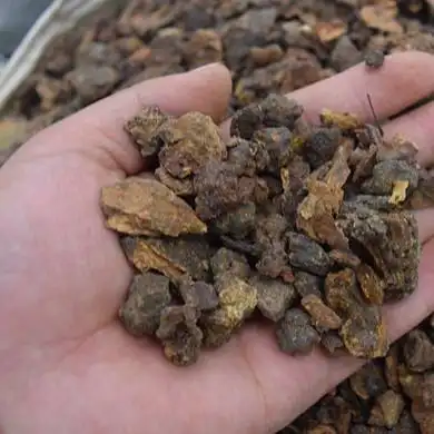 没药 制没药 安徽