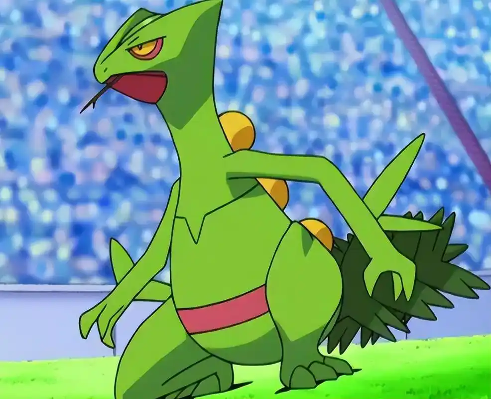 《宝可梦》来源与生态:mega蜥蜴王为何有龙系?是因为它更像龙?