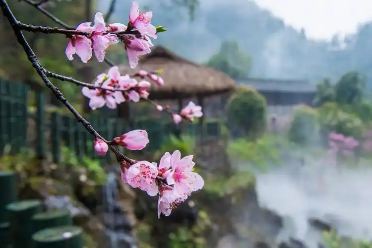 【途牛首发】去酉阳桃花源,品味龚滩千年古镇,船游乌江百里画廊