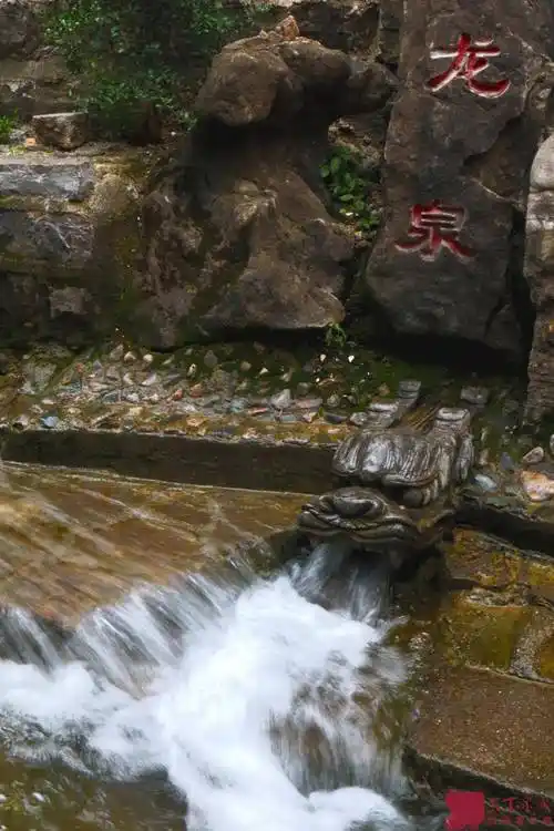 济南深藏的几个"龙"景点,最后一个你肯定意想不到_摄影_五龙潭_联泉