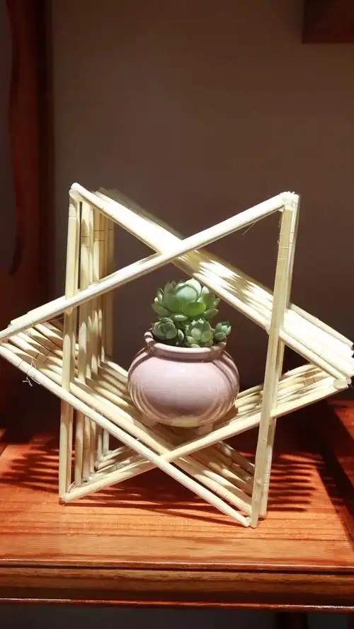 花架也要不一般,其实用一次性筷子就能拼出来这么别致的一个.