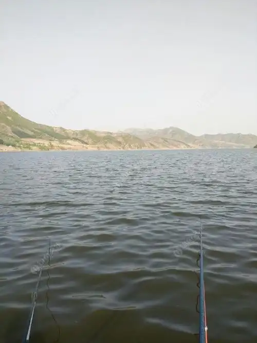 庙宫水库狂拉鲫鱼! - 钓鱼之家