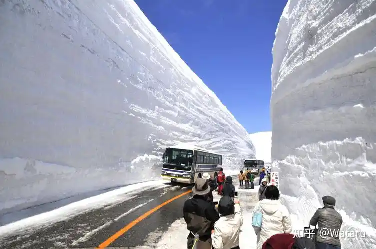 日本的雪墙公路是如何形成的? - 知乎