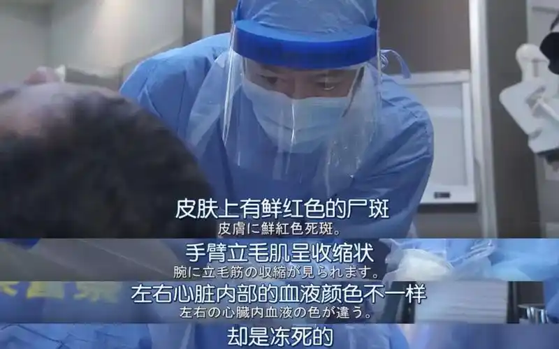 大夏天居然能冻死人看完迷惑剧情后我却倍感沉重