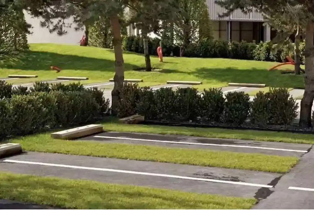 停车场其实是一种高绿化和高承载的停车场那我们先来说说停车场的设计