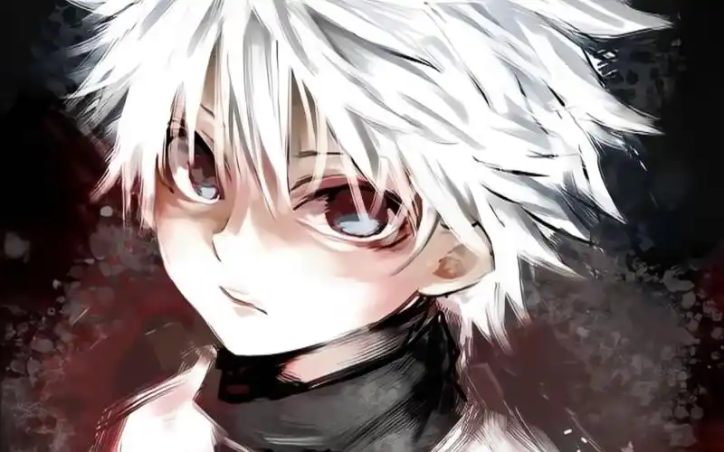 这才是真正的奇犽