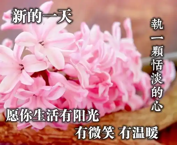 早上好问候语动态表情图文字,微信新的漂亮祝福语图片 - 早安心语图片