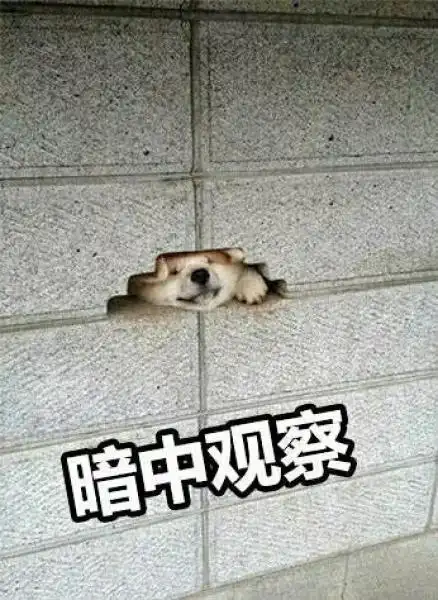 暗中观察 - 暗中观察系列 67_暗中观察表情