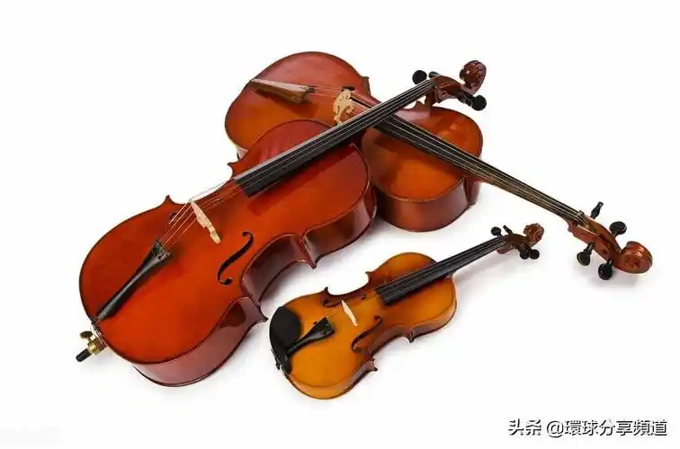 弦乐器有哪些小型弦乐器有哪些