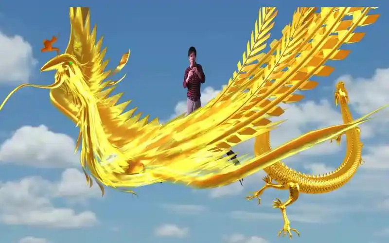 特效小视屏:龙飞凤舞