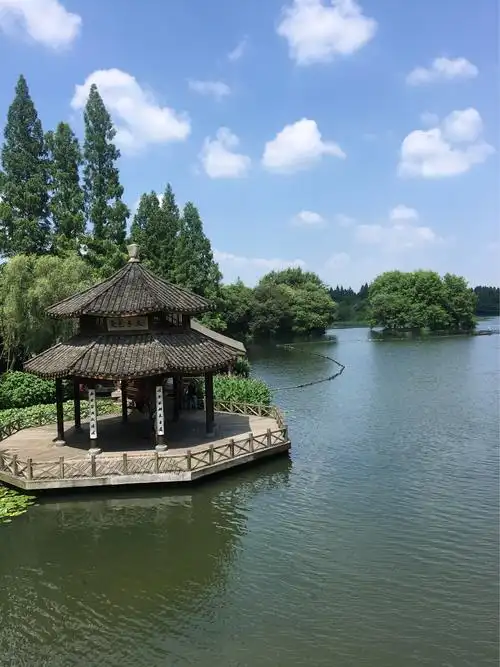 缘聚杭州,曲苑风荷掠影