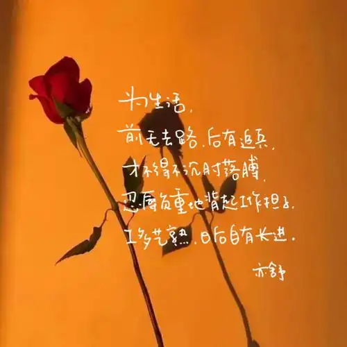 文案源亦舒语录