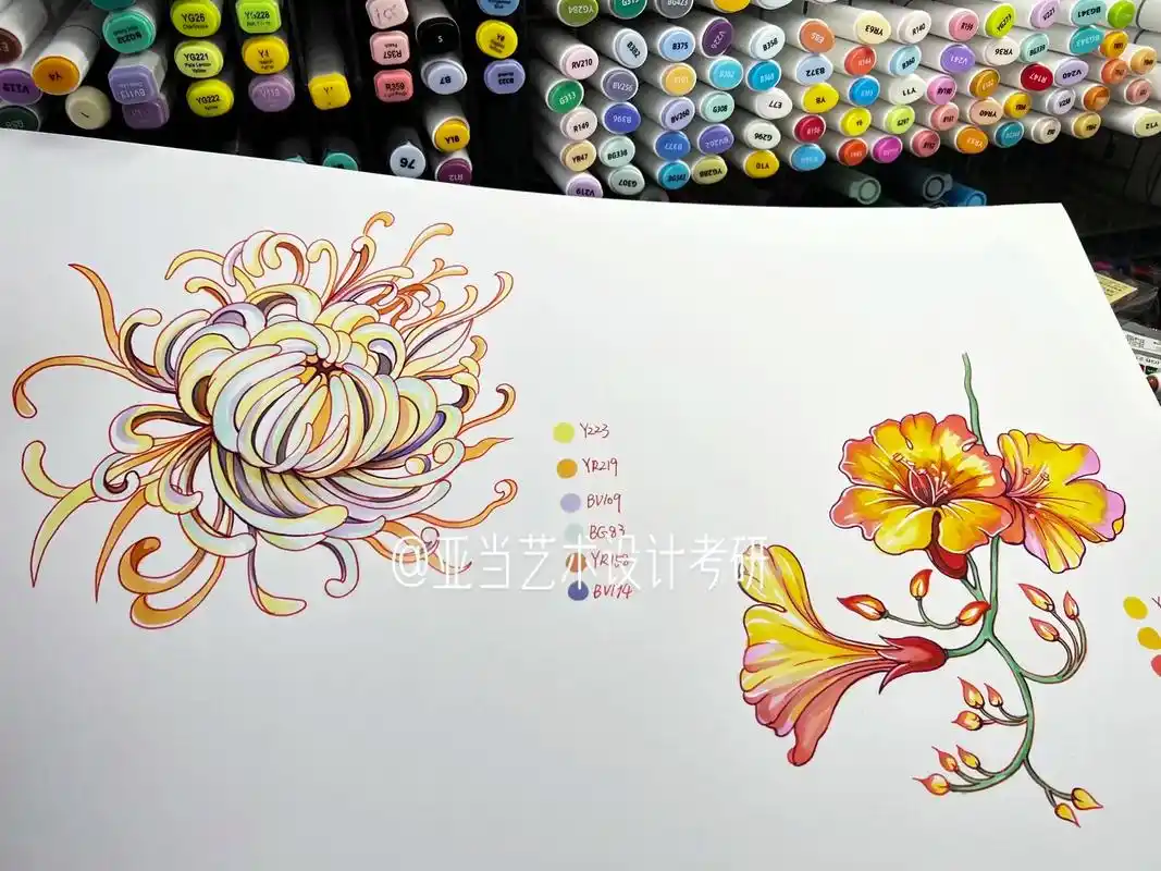 艺术设计考研手绘|装饰画素材积累98.78使用元素:花卉98 - 抖音