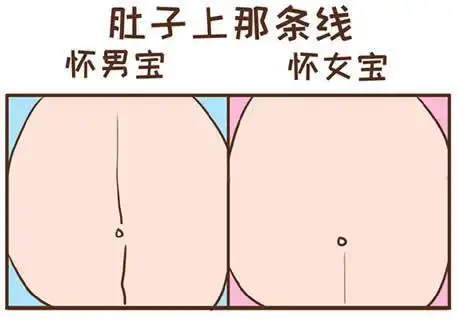 孕期上怀是男孩,下怀是女孩靠谱吗 有哪些区别?